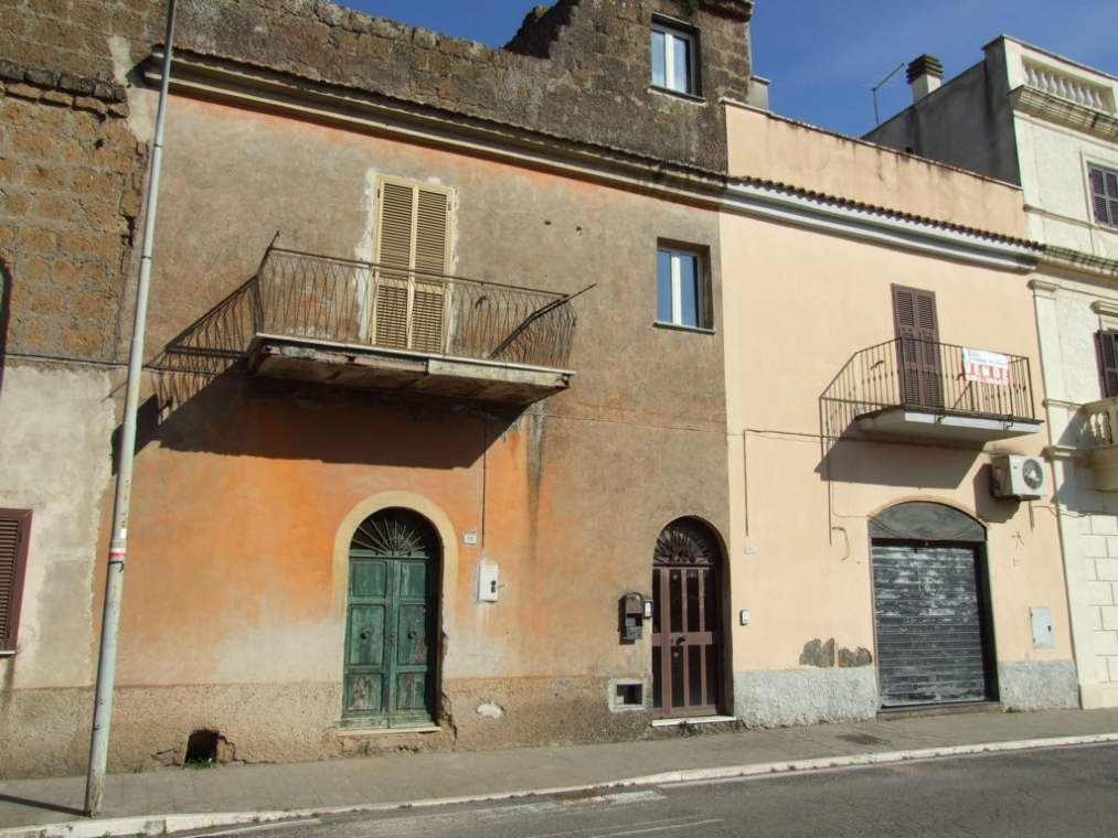 DSCF5133 (FILEminimizer).JPG